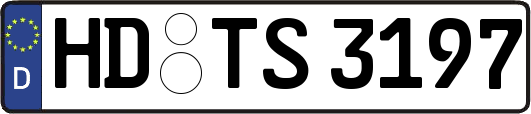 HD-TS3197