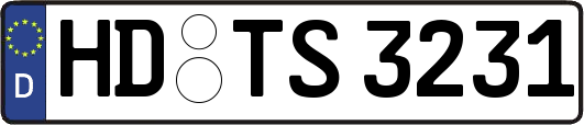 HD-TS3231