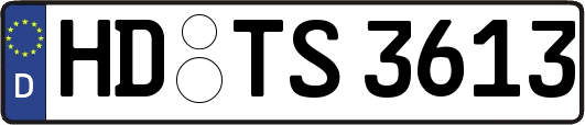 HD-TS3613