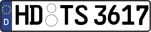 HD-TS3617