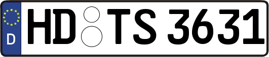 HD-TS3631