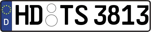 HD-TS3813