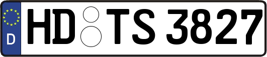 HD-TS3827