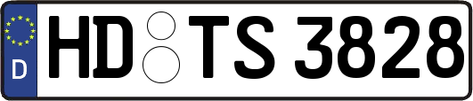 HD-TS3828