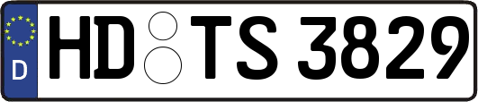 HD-TS3829