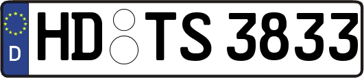 HD-TS3833