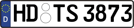 HD-TS3873