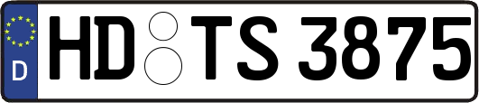 HD-TS3875