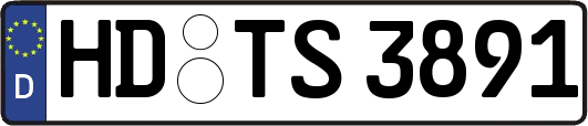 HD-TS3891
