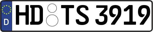 HD-TS3919