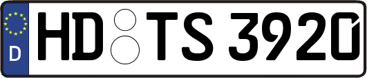 HD-TS3920