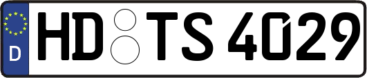 HD-TS4029