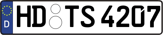 HD-TS4207