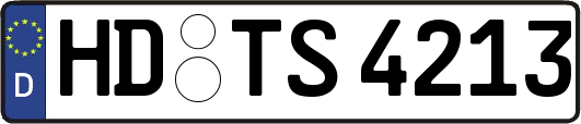HD-TS4213