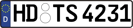 HD-TS4231