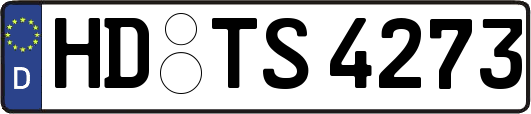 HD-TS4273