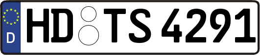 HD-TS4291