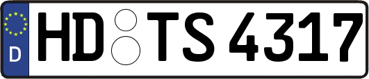 HD-TS4317