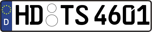 HD-TS4601