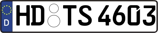 HD-TS4603