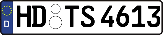 HD-TS4613