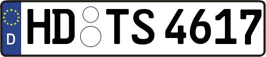 HD-TS4617