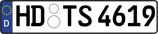 HD-TS4619