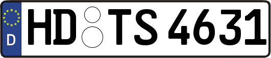 HD-TS4631