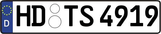 HD-TS4919