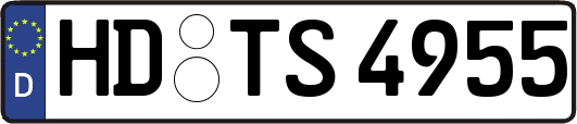 HD-TS4955