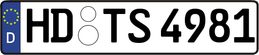HD-TS4981