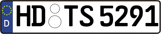 HD-TS5291