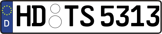 HD-TS5313