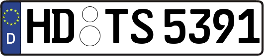 HD-TS5391