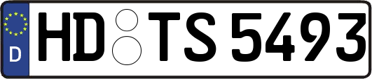 HD-TS5493