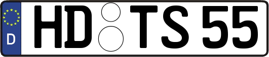 HD-TS55