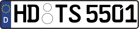 HD-TS5501