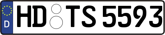 HD-TS5593