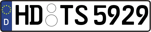 HD-TS5929