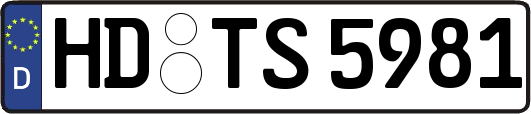HD-TS5981