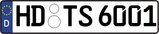 HD-TS6001