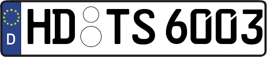 HD-TS6003