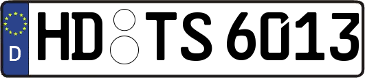 HD-TS6013