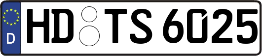 HD-TS6025