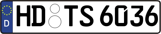HD-TS6036