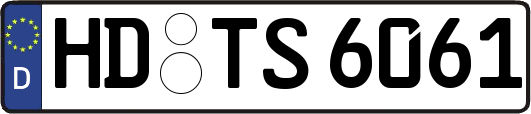 HD-TS6061