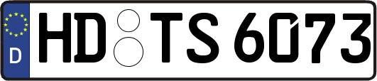 HD-TS6073