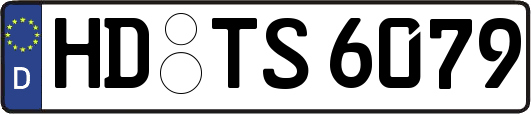 HD-TS6079
