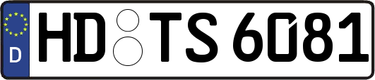 HD-TS6081