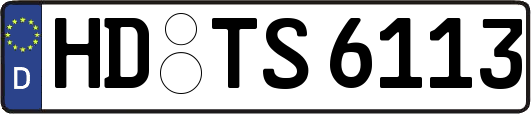 HD-TS6113